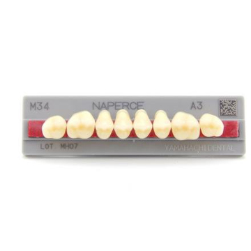 Yamahachi - жевательные зубы 0